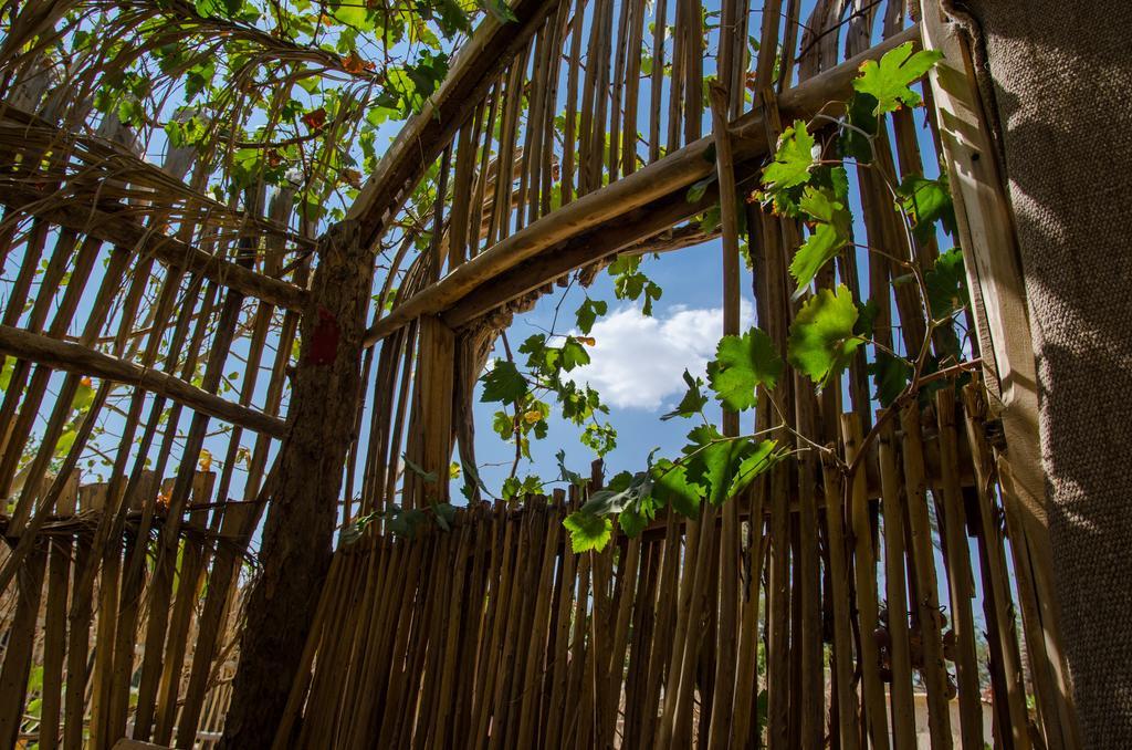 Kfar Hanokdim - Glamping & Camping Arad Kültér fotó